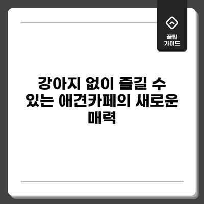 강아지 없이 즐길 수 있는 애견카페의 새로운 매력