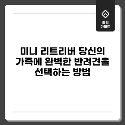 미니 리트리버: 당신의 가족에 완벽한 반려견을 선택하는 방법