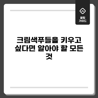 크림색푸들을 키우고 싶다면 알아야 할 모든 것