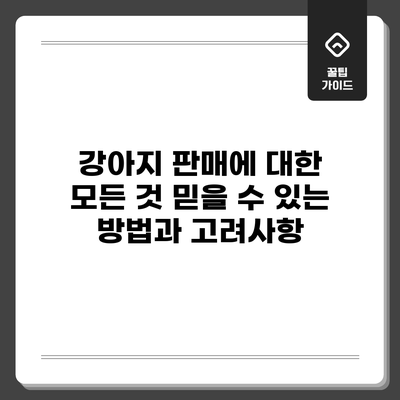 강아지 판매에 대한 모든 것: 믿을 수 있는 방법과 고려사항