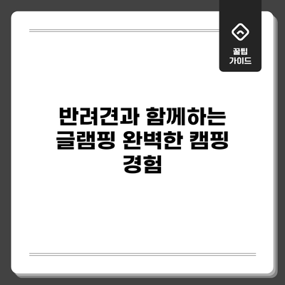 반려견과 함께하는 글램핑: 완벽한 캠핑 경험