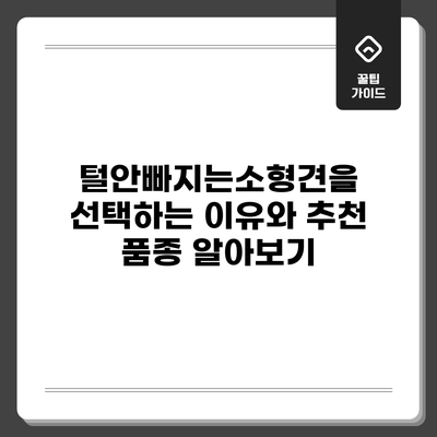 털안빠지는소형견을 선택하는 이유와 추천 품종 알아보기