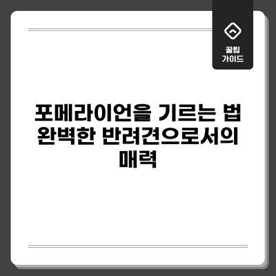 포메라이언을 기르는 법: 완벽한 반려견으로서의 매력